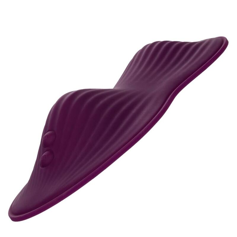 Dual Rider Purple