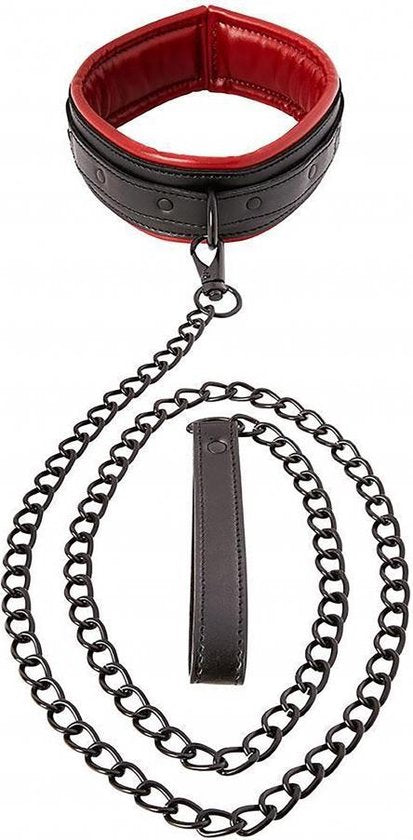 Saffron - Leash & Collar - Bold Humans